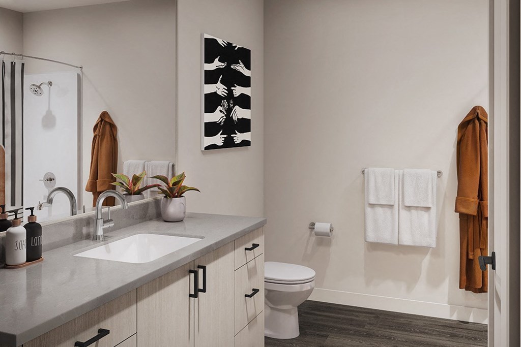 a bathroom with a sink and a toilet and a mirror